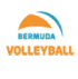 Bermuda Volleyball Association Logo