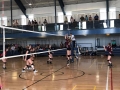 18157537_831793386976830_6459684103990803805_n